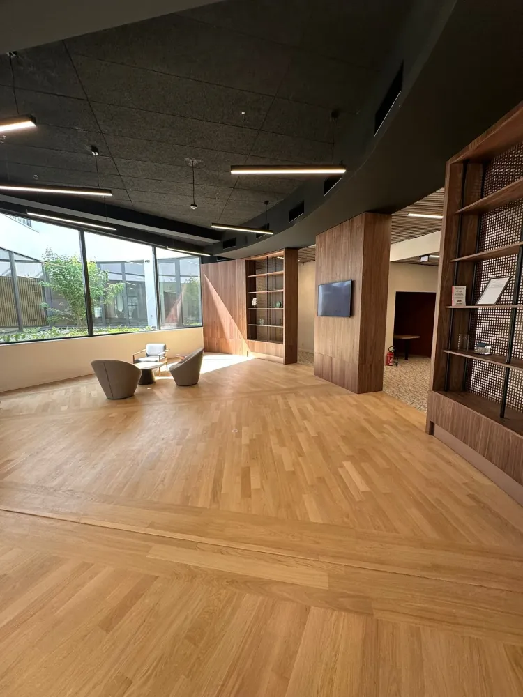 decoration (20)